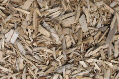 biomass boilers Dunecht